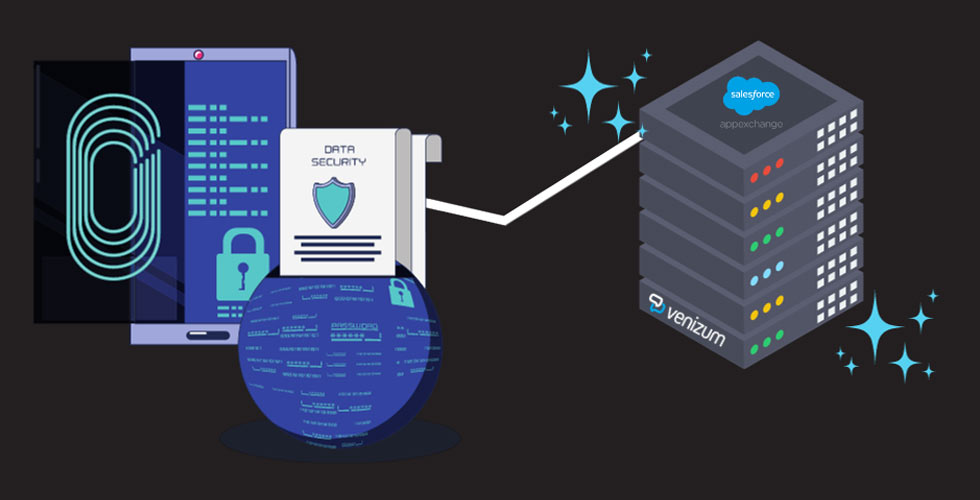 Data Security of Verbis as Salesforce Native Applications